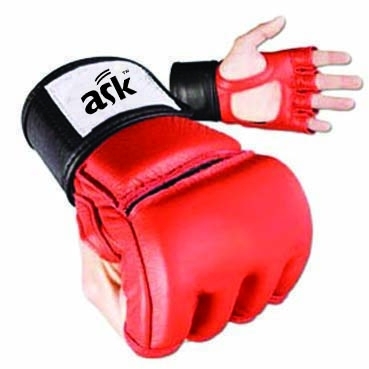 MMA Gloves