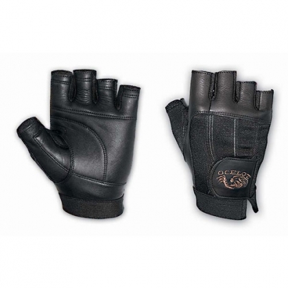 Fitness Gloves
