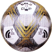 Training Balls