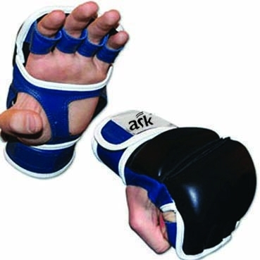 MMA Gloves